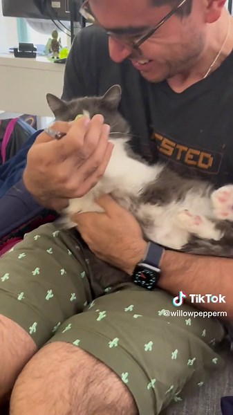 Dramatic kitty #kitty #catsoftiktok #spicycats #dramatic #foryou #fyp