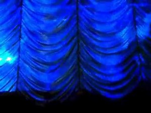 Slipknot - Intro (curtain up at 3:36) and Sarcastrophe (Live in Cardiff Motorpoint 24 Jan 15)