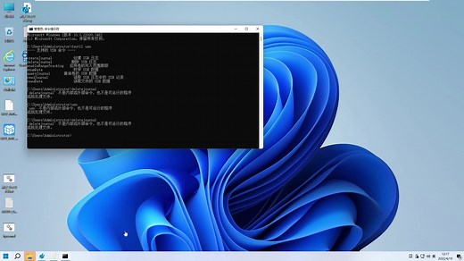 Win11 pin码忘了怎么办 Win11 pin码忘记修复教程