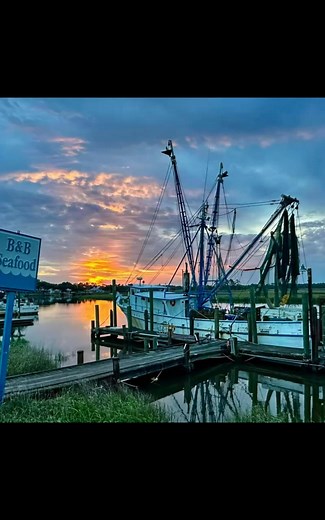 John Mitchell on Reels