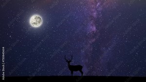 Silhouette of a horned deer against a night sky with moving vees and moon. Cinemagraph, looped seamless animation. High quality 4k footage