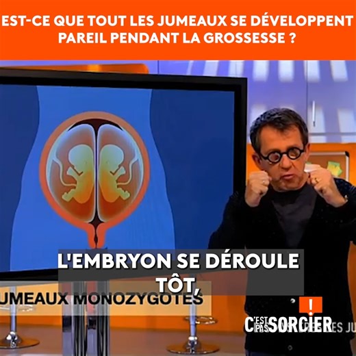 Qu'est-ce qui fait des "vrais" ou des "faux" jumeaux ? Percez les mystères des jumeaux ! | C'est pas sorcier