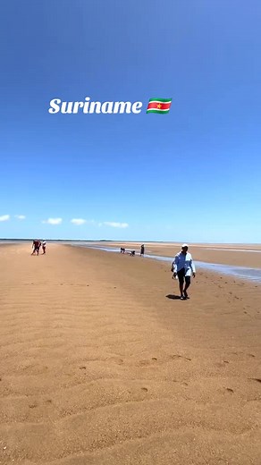Discover the Beauty of Galibi Beach in Suriname