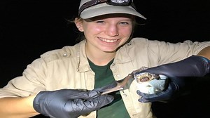 Homestead Bat Study (U.S. National Park Service)