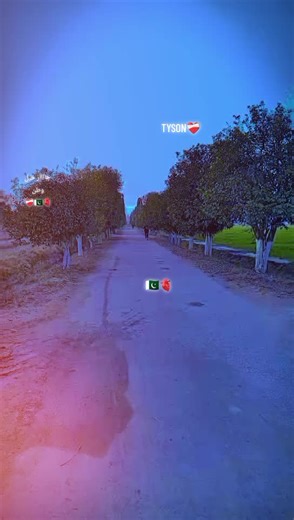 Celebrating National Pride with Tyson's Journey