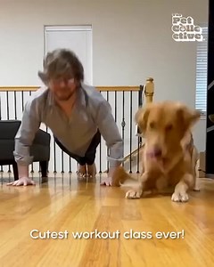 Best exercise partner EVER! 🤣🐶💪 | capture oiseaux