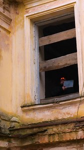 We Found an Old Safe in an Abandoned House | Crafty Panda
