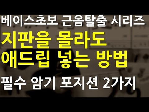 베이스기타 오픈강의(83) 베이스기타 초보 필수 암기 포지션 2가지(5도와 3도)