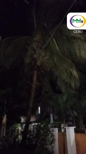 WATCH: Strong winds and steady rain are being experienced in Catmon, northern Cebu as of 8 p.m. on Monday, November 3, 2025, as Typhoon Tino continues to approach the Visayas region. |Joel Noel #MyTVCebu #MyTVNewsUpdate #WeatherUpdate #TyphoonTino #TinoPH | MyTV Cebu