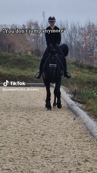 Enhance Your Equestrian Skills with Advanced Horse Riding Techniques