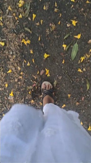 🌸 Daily Mini Random Vlog | Just a Glimpse of My Day ✨