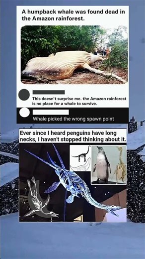 Whale picked the wrong spawn point