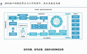 脑机接口技术之一：未来已来
