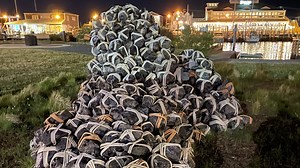 Lewes hopes to become public art destination. Where you can see new installation