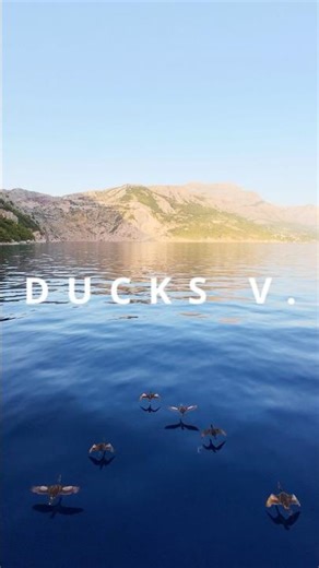 What Makes Ducks Fly So SMOOTHLY in a V Formation? #fpvdrone #shorts