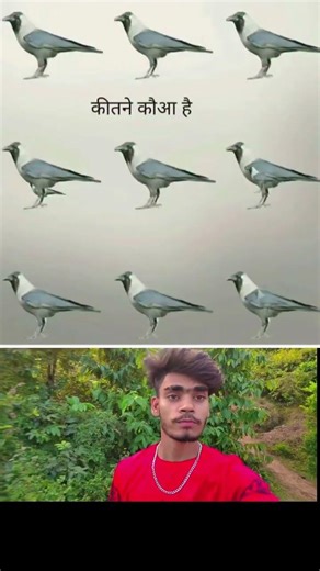 🔥🔥 Your Eyes Will Be Fooled 😲 But You Can’t Guess How Many Pigeons Are Hidden in This Picture 🕊️🔥🔥🔥