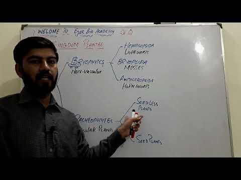 Kingdom Plantae (Plants) | Evolutionary Sequence & Classification Flow Chart | FSc | A & O Levels