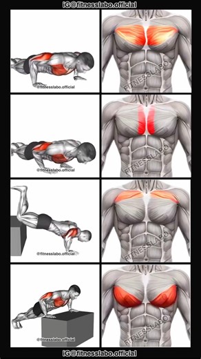 Daily home workout ✅ day__04 #shorts #homeworkout #gym #gymlove #like #gymshorts #shortsviral #love