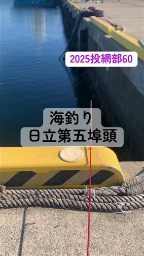 [釣り旅12月] 日立周辺の堤防 #茨城県 #堤防釣り #休日の過ごし方#海釣り