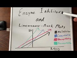 Enzyme Inhibitors and Lineweaver-Burk Plots