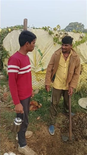 #funny video 😂🤣server down hai cal aana #comedy #comedyfilms #pawarholakhalidhobijatimere #funny