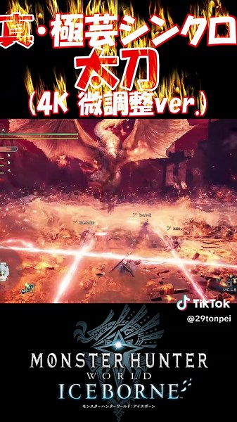 真・極芸的にシンクロする太刀の技