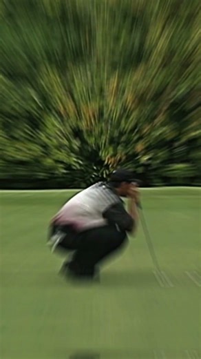 Tiger woods sudden death against Ernie 