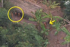 First Ever Footage Of Uncontacted Amazon Tribe. What They Captured Is Unimaginable