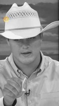 Steers and Auctioneers