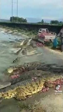 6a7c37d5a9badcaf14fae0371bfe3744