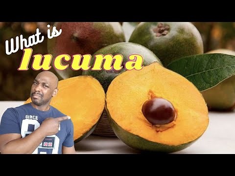 What is Lucuma?