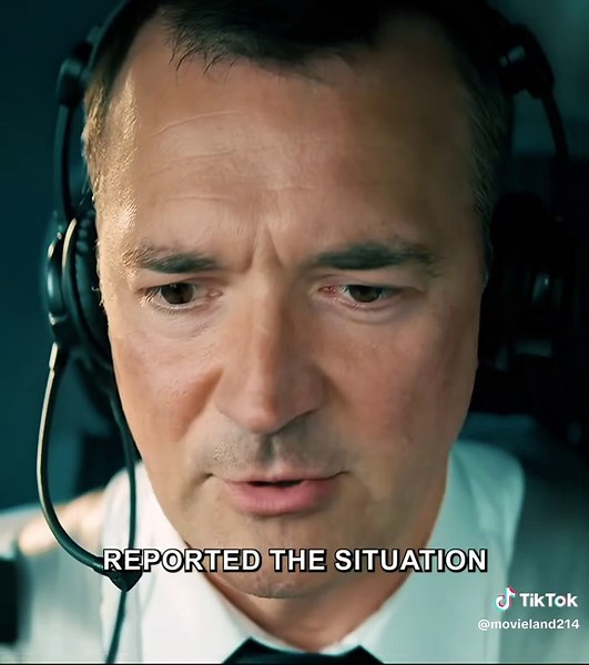 Bird Strike Incident with Passenger Plane Explained