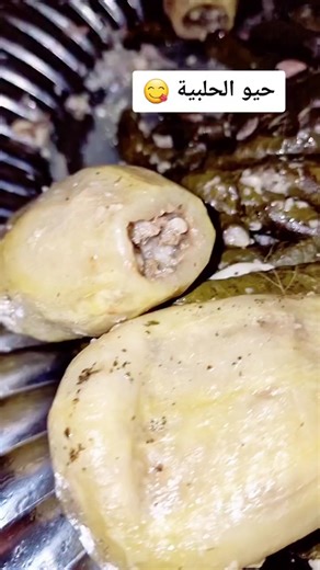 Discover the Delightful Taste of Aleppo with Yabraq Halabi Recipe