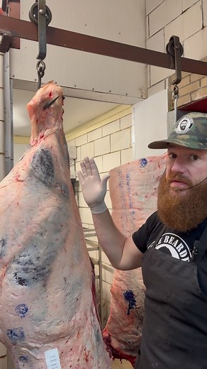 69K views · 1.1K reactions | How we hang our beef #beef #butcher #hook #educational #cow #bluecollar #knowyourfood #beardedbutcher #meat #meatlover #behindthescenes #ohio #fyp #viral | The Bearded Butchers | Facebook