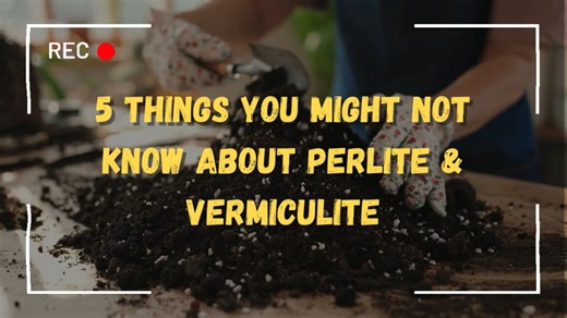 Industrial & Construction Uses of Perlite You Didn’t Know About