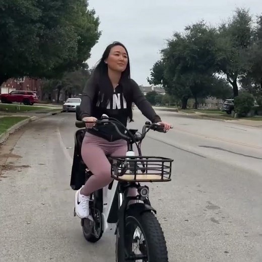 Ride with low step-thru Ocelot Pro, 28MPH and up to 80 Miles per Charge