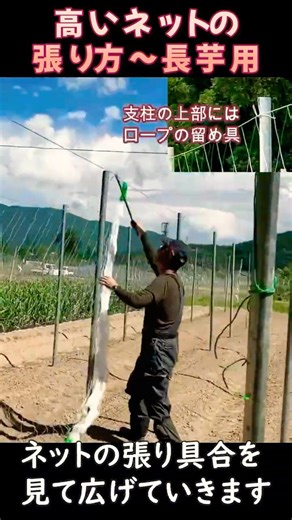 高いネットの張り方（長芋用）ショート動画：2026年版
