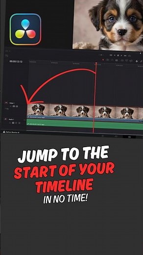 Jump to the Start of Your Timeline in Davinci Resolve!