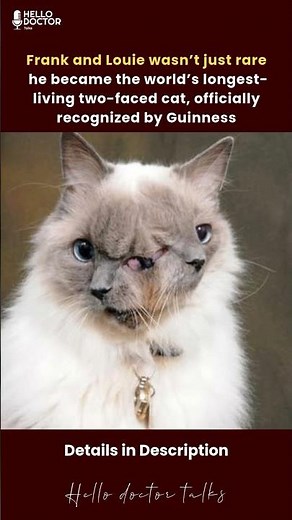 Frank and Louie wasn’t just rare — he became the world’s longest-living two-faced cat.