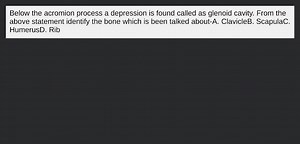 Below the acromion process a depression is found called as glen... | Filo