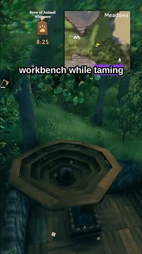 Boar taming setup in valheim! | #hyphaive on #Twitch