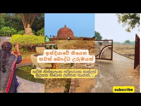 ඉන්දියාවේ තියෙන අයිතිහාසික බෞද්ධ ස්ථානයක් ☸️ 🇮🇳Lets explore one of the buddhist place in INDIA 🇮🇳