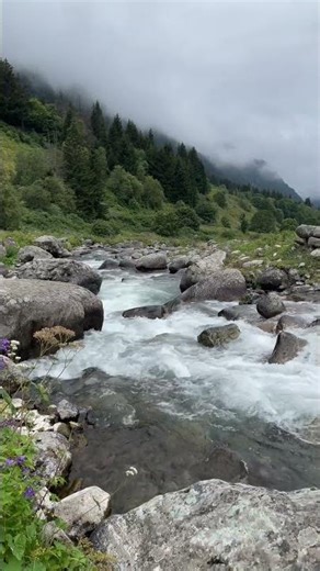 Understanding Patient Registration in Healthcare Billing