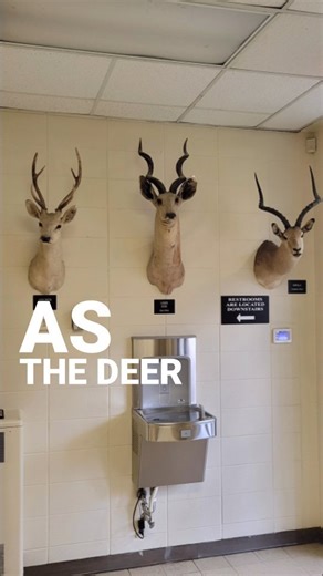 60 reactions · 24 comments | As the deer panteth... | Ed Wiley | Facebook