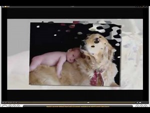 El Mejor Programa para hacer videos con imagenes, música, videos Tutorial PROSHOW GOLD