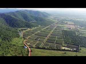 La Plantation - Kampot Pepper Farm - Cambodia