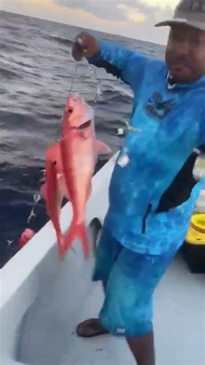 This deep sea fishing haul is insane 🚤 #fishing #shorts