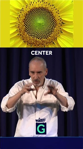 Sunflower Heads: Secret Structure & Development Revealed! #mathematics #fibonacci #goldenratio