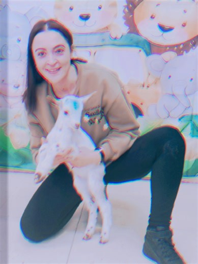 #animales #chotillo #cabra #escuelainfantil #actividadeseducativas🤩🤩🤩