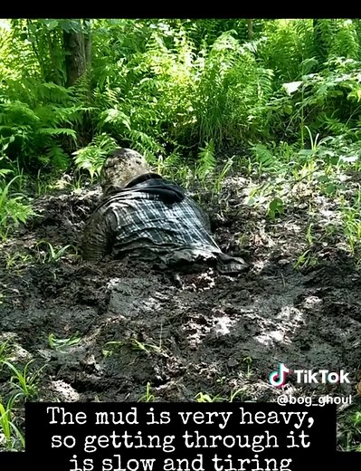 Expert Tips for Escaping Bogs Safely